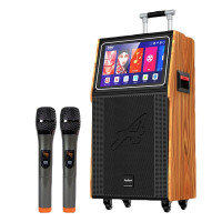 爱浪视频音箱DS11-215