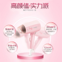 飞利浦(Philips) 电吹风机大功率电吹风家用可折叠小巧吹风筒恒温