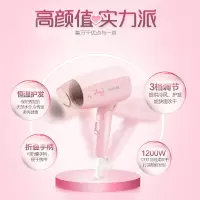 飞利浦(Philips) 电吹风机大功率电吹风家用可折叠小巧吹风筒恒温