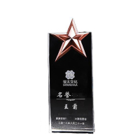 企业专享 卓越之星水晶奖牌(大号) 起订量20