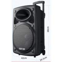 先科户外音箱 15寸 配2个无线话筒 1个遥控器