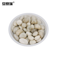 安赛瑞 货号500069鹅卵石 铺路鹅卵石庭院多肉园林高抛白石 石径2-4cm (5kg)