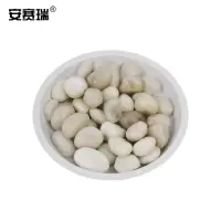 安赛瑞 货号500069鹅卵石 铺路鹅卵石庭院多肉园林高抛白石 石径2-4cm (5kg)
