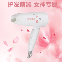 韩国现代 (HYUNDAI) 电吹风YH1600