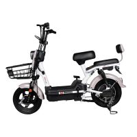 阿米尼电动车TDT1813