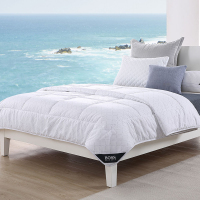 BOSS HUGO BOSS抑菌纤维厚被2030*2300mmHBXW-032