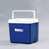 爱斯基 ESKY 10L大容量户外保温箱冷藏箱包 便携式车载保温箱