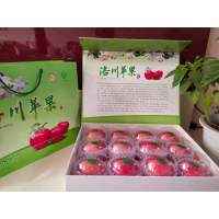 正宗洛川红富士礼盒A款苹果直径80mm-85mm