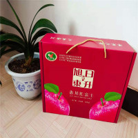 正宗洛川红富士礼盒B款苹果直径90mm到100mm特大果双网