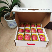 正宗洛川红富士礼盒D款苹果直径90mm到100mm特大果双网