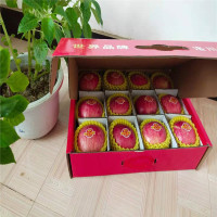 正宗洛川红富士礼盒E款苹果直径90mm到100mm特大果双网
