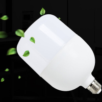 led黄光白光RS 塑料球泡灯 led灯泡 E27节能灯泡高富帅灯泡 30W 10支装