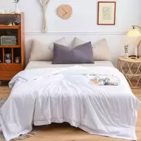 无印良品(MUJI) 艳品纯棉贡缎蚕丝被 MJ-B2020-10