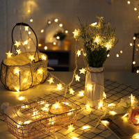 LED串灯 五角星灯串 10米100灯暖色