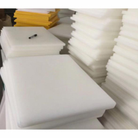 聚丙烯板 PP板1200*2000,厚度2CM无毒无味环保模型板切菜板一张