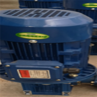 TRS磨辊驱动减速机 300.1 9901