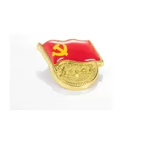 金属徽章定制锌合金党徽胸章别针蝴蝶扣强磁扣磁吸标准款党徽10个装