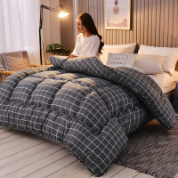九洲鹿 被芯家纺 秋冬被子 棉被加厚保暖双人被芯 舒柔羽丝绒被春秋盖被褥 180*200cm