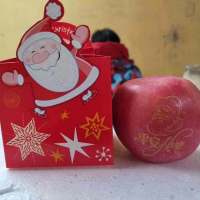 圣诞印字苹果礼盒