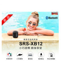 索尼SRS-XB12无线蓝牙音响(XF)