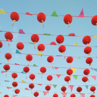 企购优品 小红灯笼挂饰结婚庆典新年春节灯笼80米红绳彩旗+50只25号灯笼