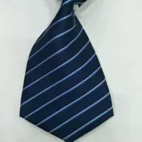 祥和鸟 饰品