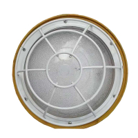 萤火虫yinghuochong 100W 免维护LED大棚照明灯