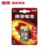 南孚(NANFU)9V 碱性 干电池6LR61 （节）(RY)