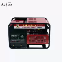 大泽动力 本田汽油发电电焊机 350A双缸 SHU350
