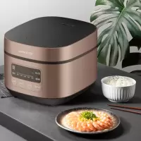 九阳电饭煲F30FZ-F4152