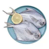 禧美海产 国产冷冻银鲳鱼300g 6条
