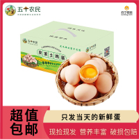 五个农民 精品礼盒装30枚装 1500g大号河南草鸡蛋 现捡现发土鸡蛋 农家自养