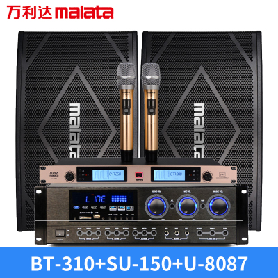 万利达(MALATA) BT-310 音响 音箱 家庭影院 电视音响 落地影院 组合音响 客厅影院 音响套装 HIFI