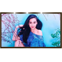 P2.5室内全彩屏12平方