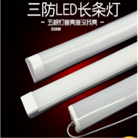 4W 双排 LED 三防灯