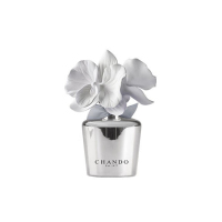 Letme 瞬间永恒系列散香瓷香薰精油套装XD 35ml 白金礼盒-银色-清新百合-中性