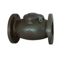 天才 法兰止回阀 DN200