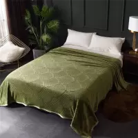 雅莉格丝纯色法兰绒压花毛毯
