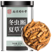 桑克拉冬虫夏草断草那曲虫草20g/盒装西藏