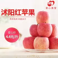 【江苏乡村振兴】【财政集采】【沭阳】虞美人 红苹果（80果）17.5kg*50箱