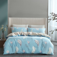 水星家纺 DH语黛-S04 印花四件套 1.5M(5英尺)床