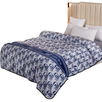 GB Teddy Bear 皇家风范抗静电云毯