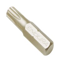 力易得(ENDURA)6.3mm系列25mm花形旋具头T30(10个) ZM