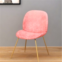北欧风餐椅粉色甲壳虫椅