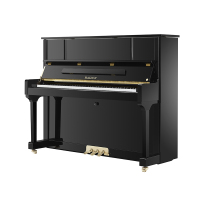 海伦(HAILUN) HL123-A 钢琴 黑色