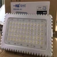 蚂蚁照明(MYZM）一线品投光灯YXPTG-050 -白光（单位：个）