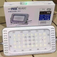 蚂蚁照明(MYZM)一线品投光灯YXPTG-100-白光（单位：个）