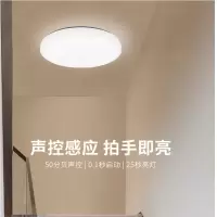 小器鬼 声光控吸顶灯12W