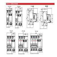 德力西(DELIXI) 漏电保护器1P/16A