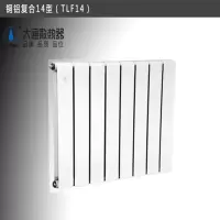大通(DATONG)铜铝暖气片 1600mm *5